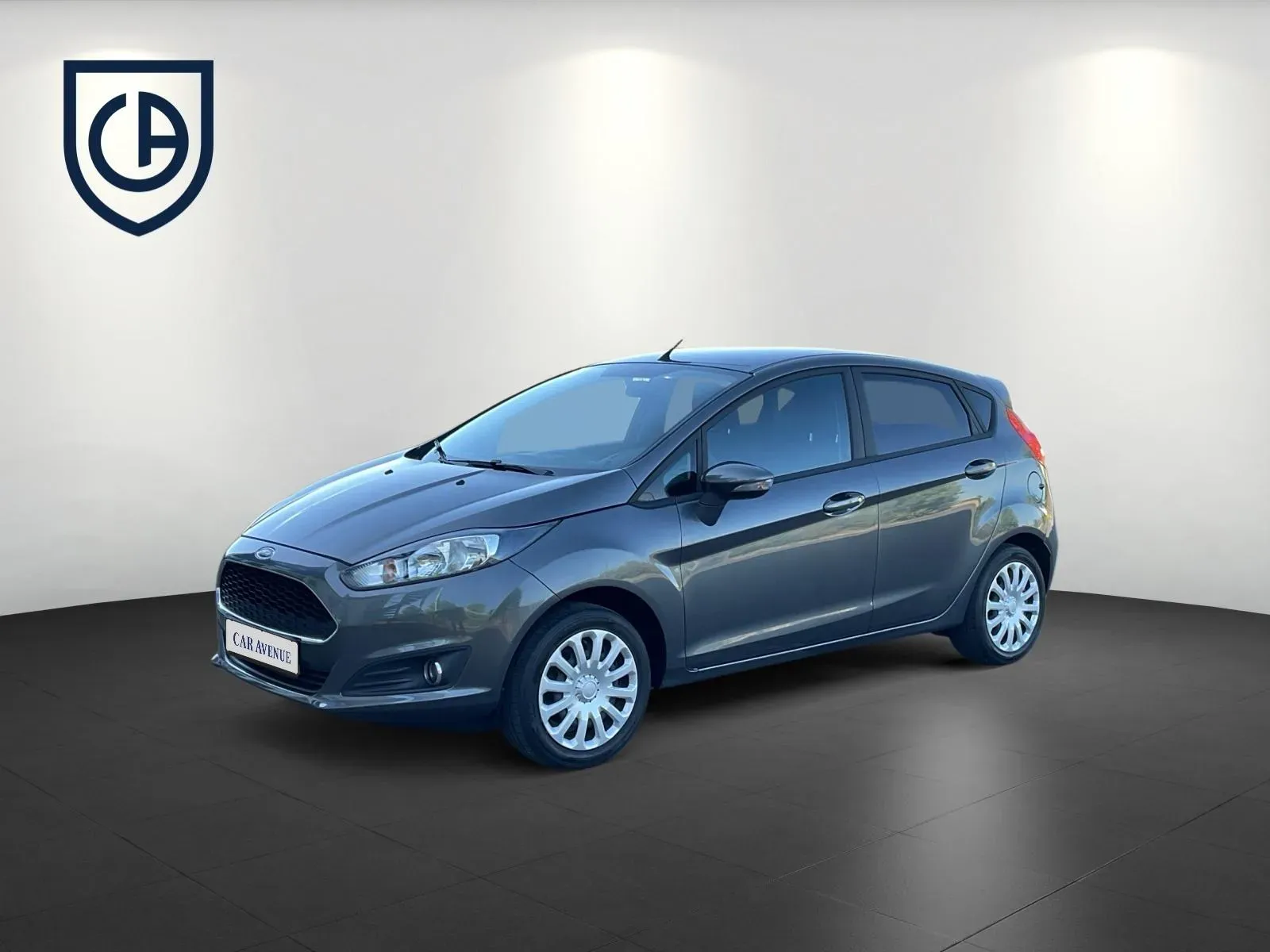 Ford Fiesta grau d'occasion