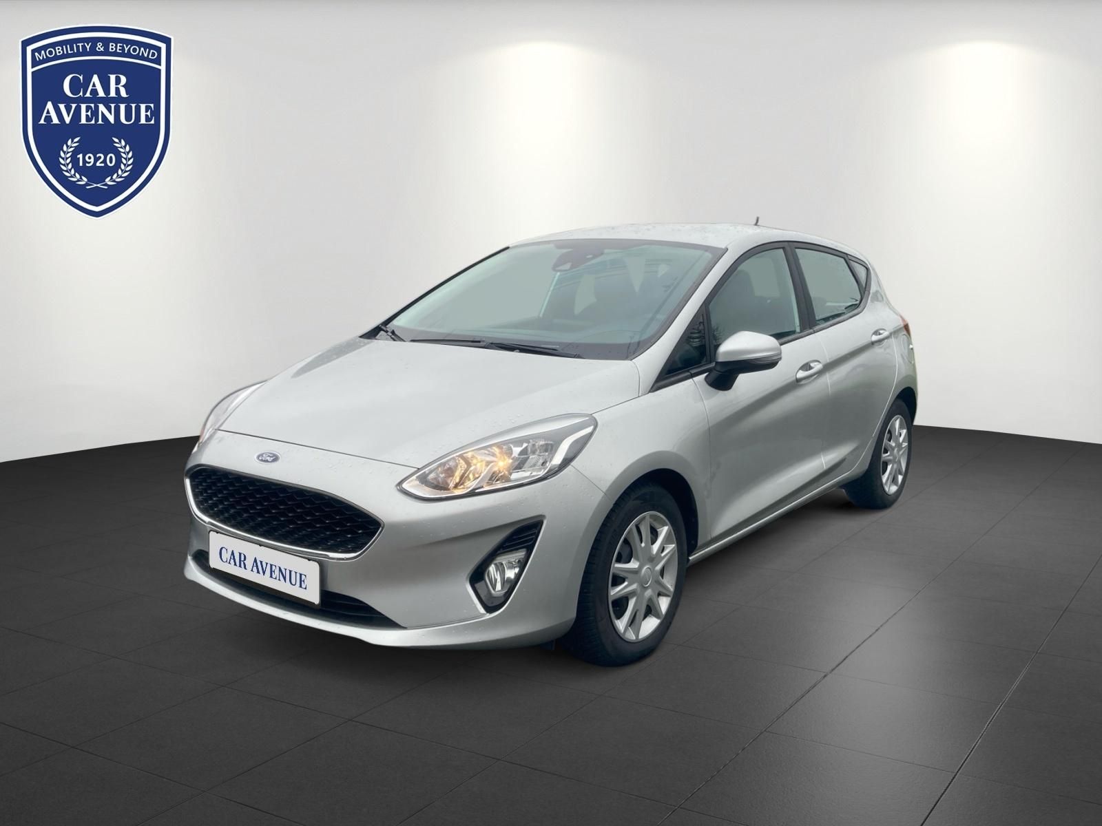 Ford Fiesta silber d'occasion