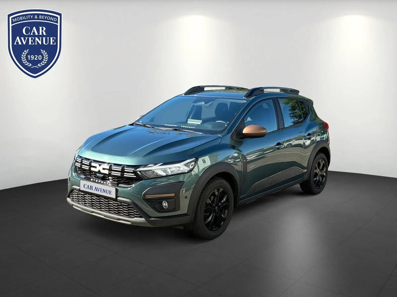 Dacia Sandero grün d'occasion