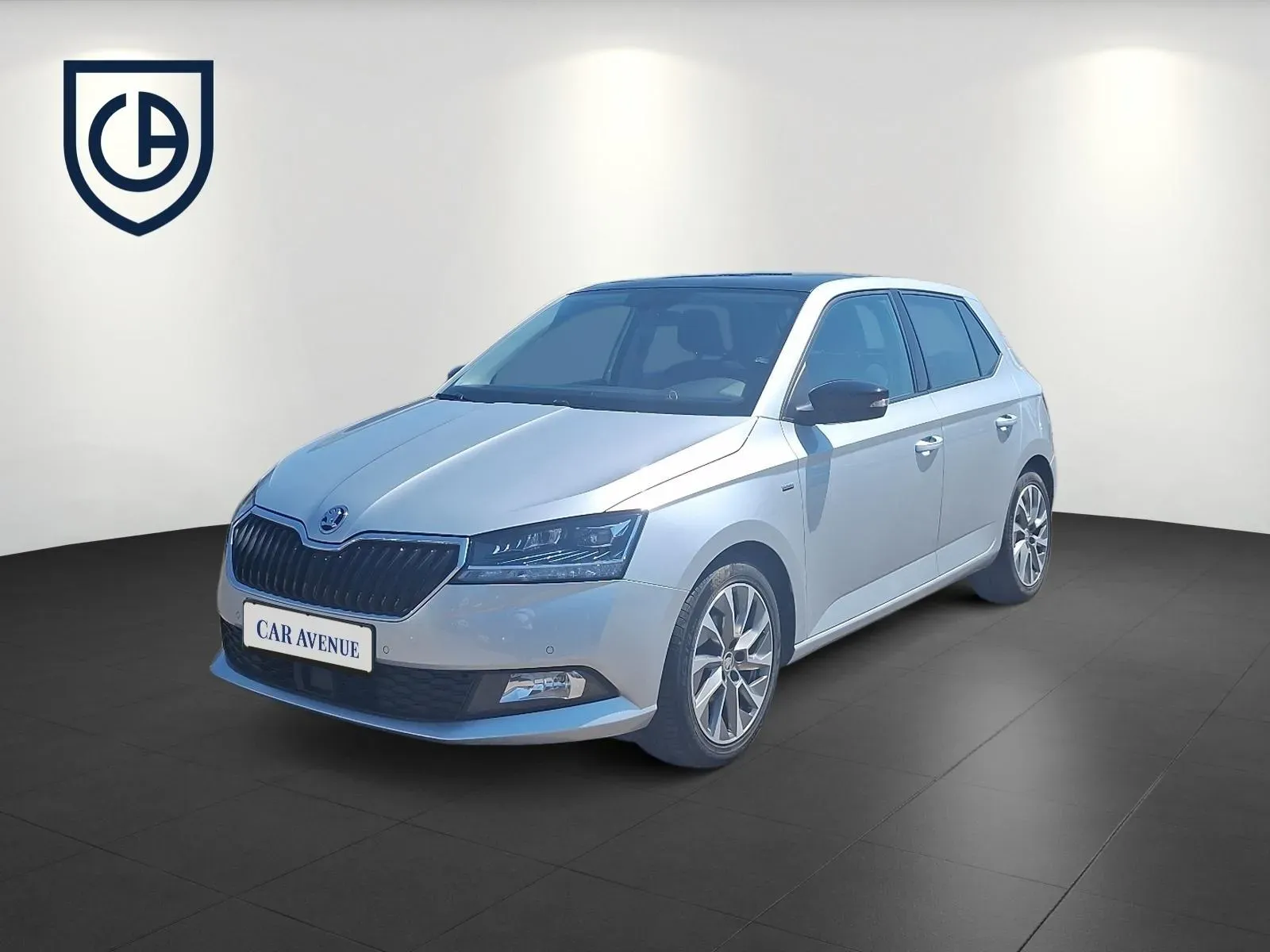 Skoda Fabia silber d'occasion