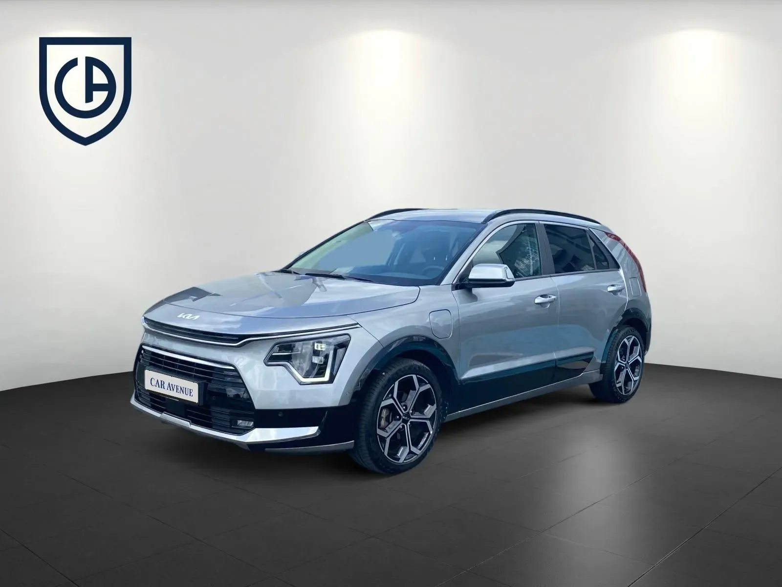 Kia Niro grau d'occasion