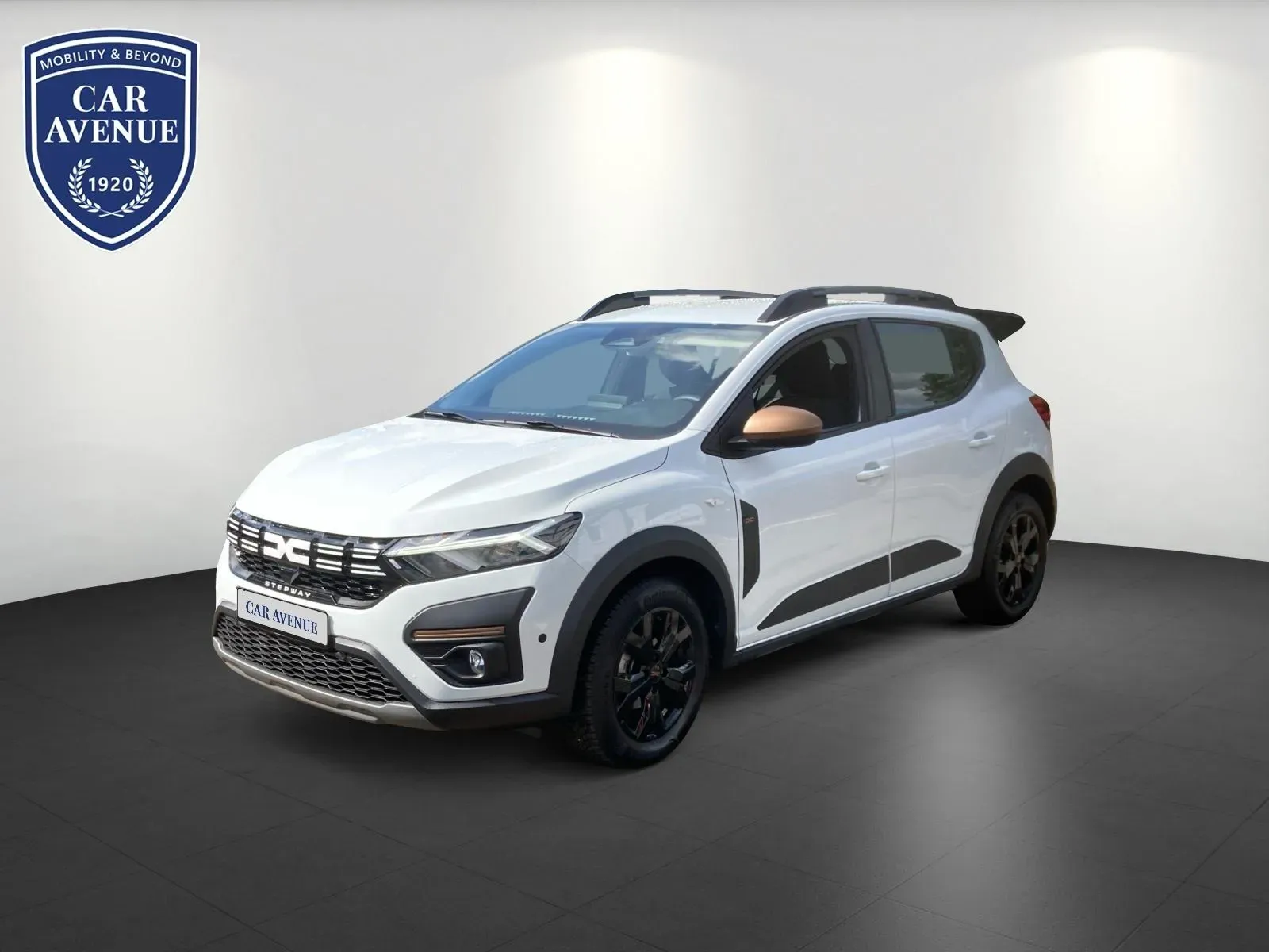 Dacia Sandero weiß d'occasion