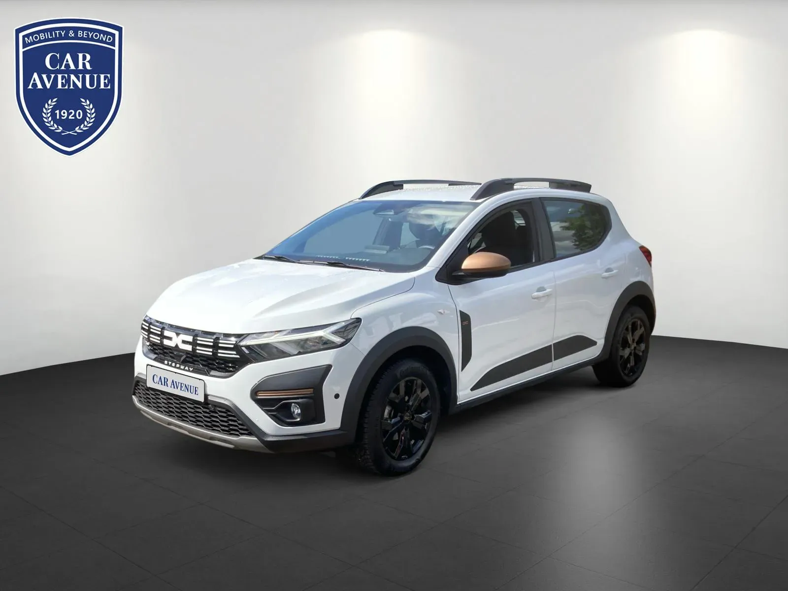 Dacia Sandero weiß d'occasion