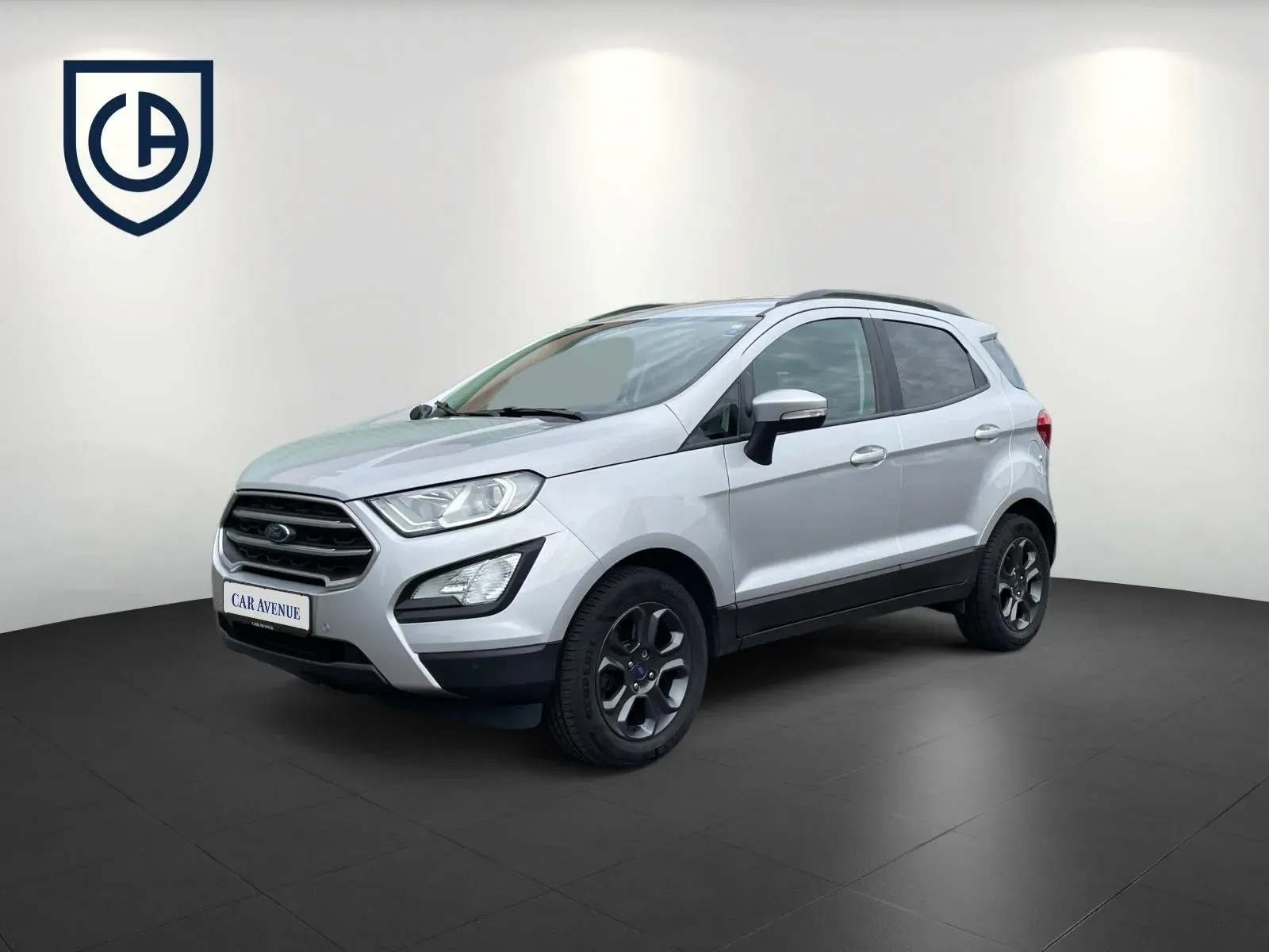 Ford EcoSport silber d'occasion