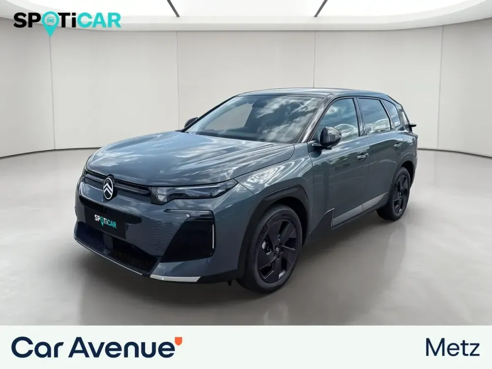 Citroën Sandero vert astoria (m) neuf