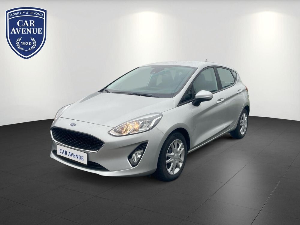 Ford Fiesta silber d'occasion