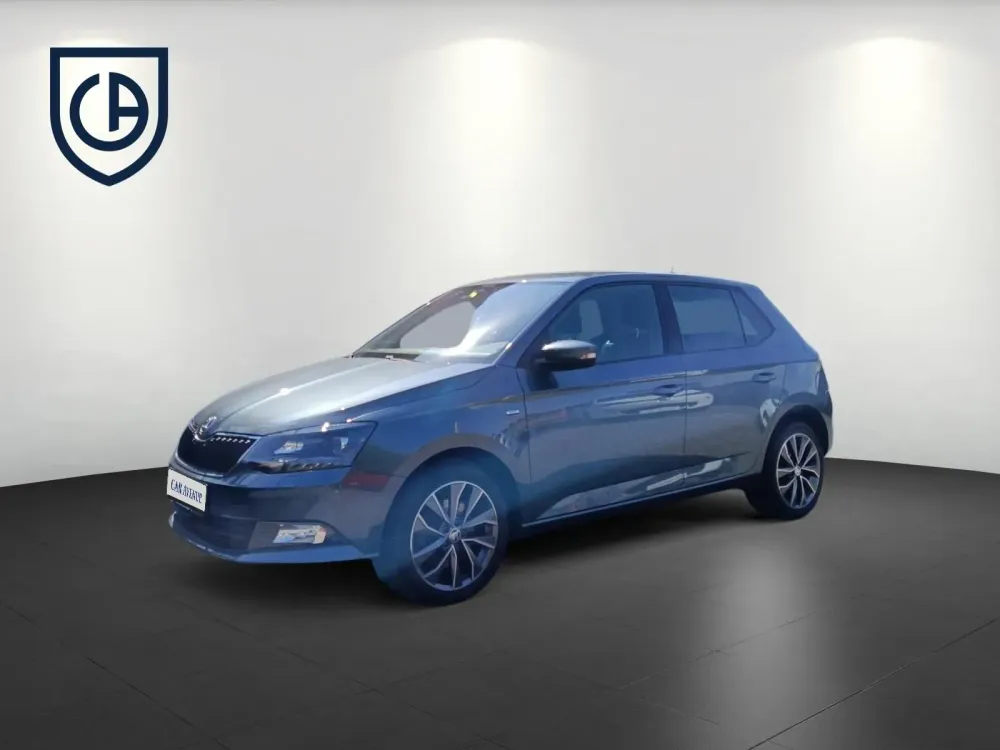 Skoda Fabia grau d'occasion