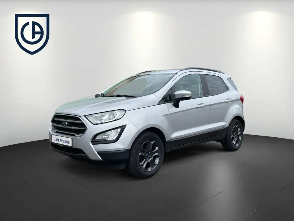 Ford EcoSport silber d'occasion