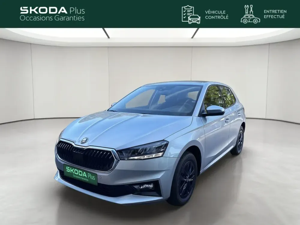 Skoda Fabia gris argent d'occasion