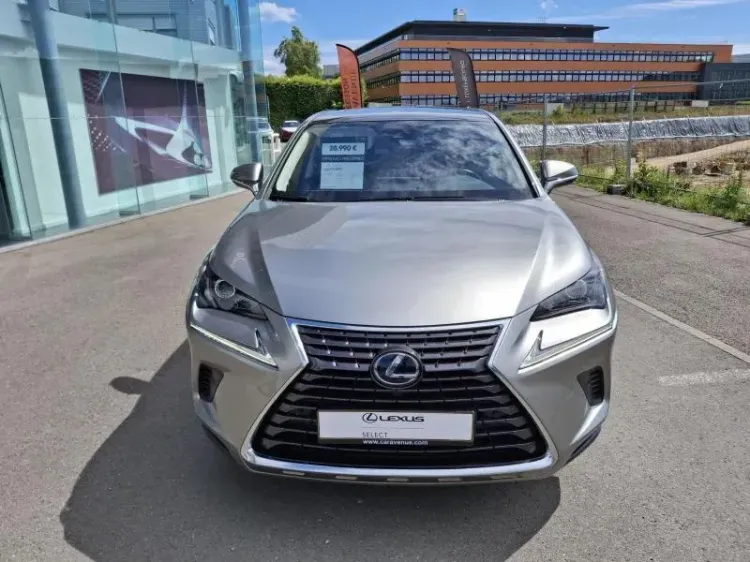 Lexus NX 300H silver d'occasion