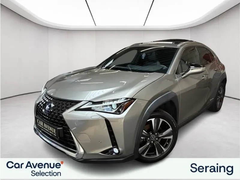 Lexus UX 250h grey d'occasion