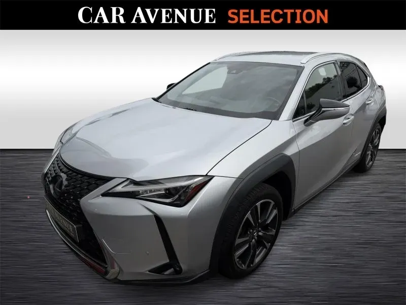 Lexus UX 250h silver d'occasion