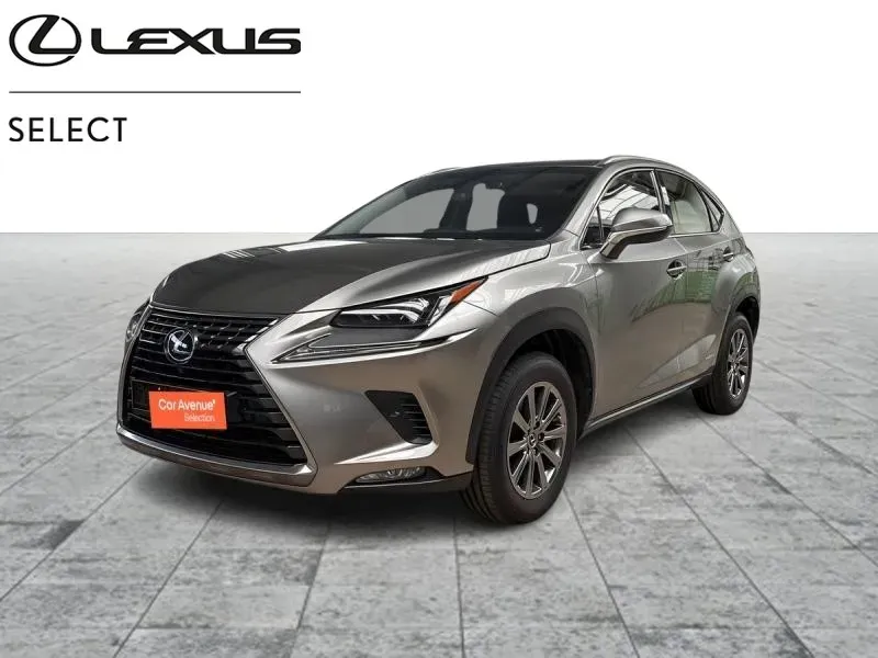 Lexus NX 300H bronze d'occasion